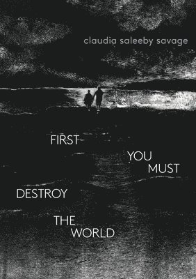 bokomslag first you must destroy the world