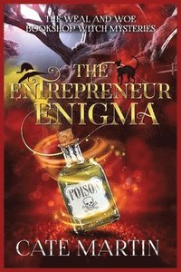 bokomslag The Entrepreneur Enigma