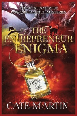 The Entrepreneur Enigma 1