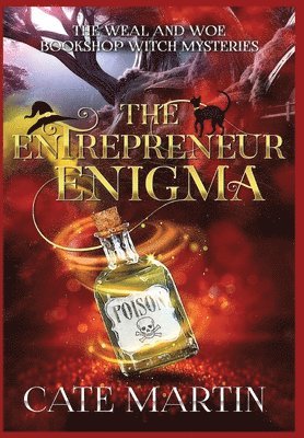 Entrepreneur Enigma