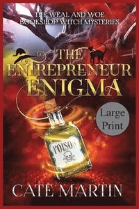 bokomslag The Entrepreneur Enigma