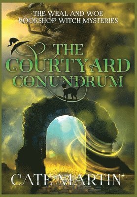bokomslag Courtyard Conundrum