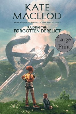 bokomslag Raiding the Forgotten Derelict