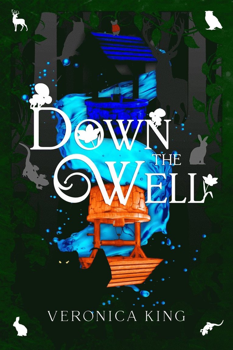 Veronica King - Down the Well, Inbunden