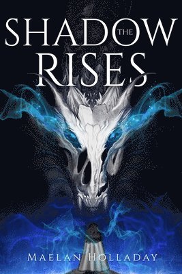 bokomslag Shadow Rises
