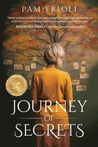 bokomslag Journey of Secrets