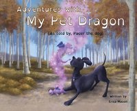 bokomslag Mason, E: Adventures with My Pet Dragon