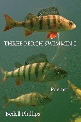 Three Perch Swimming 1