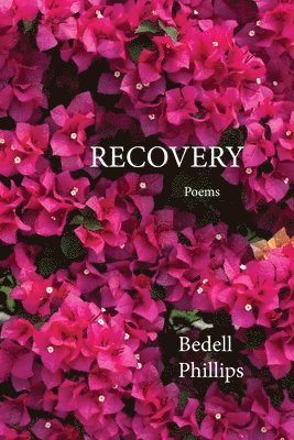 Recovery 1