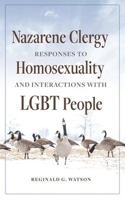 bokomslag Nazarene Clergy Responses to Homosexuality and Interactions with LGBT People