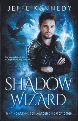 bokomslag Shadow Wizard