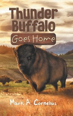 Thunder Buffalo Goes Home 1