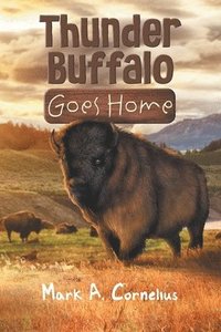 bokomslag Thunder Buffalo Goes Home