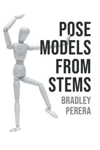 bokomslag Pose Models From Stems