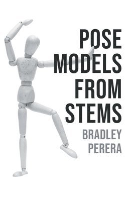 bokomslag Pose Models From Stems