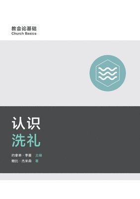 bokomslag &#35748;&#35782;&#27927;&#31036; Understanding Baptism