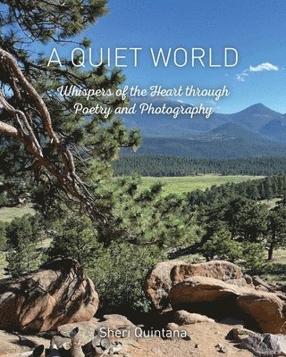 bokomslag A Quiet World