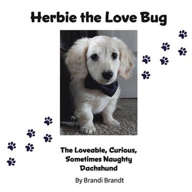 bokomslag Herbie the Love Bug