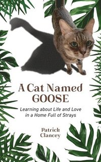 bokomslag Cat Named Goose