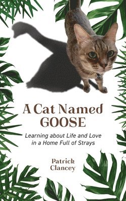 bokomslag Cat Named Goose