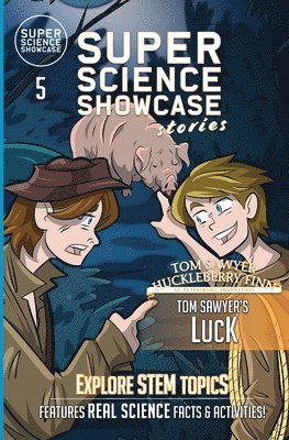 bokomslag Tom Sawyer's Luck