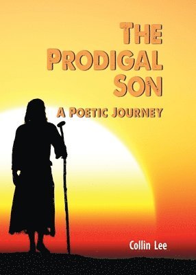 bokomslag Prodigal Son