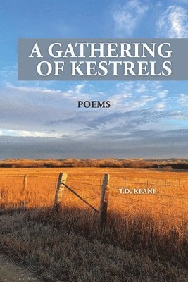 bokomslag Gathering of Kestrels