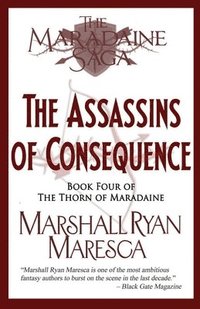 bokomslag Assassins of Consequence