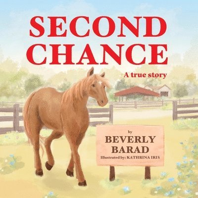 Second Chance 1