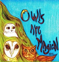 bokomslag Owls Are Magical
