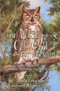 bokomslag How Wise Old Owl Got His Name