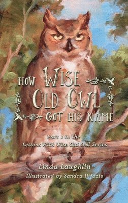 Linda Laughlin - How Wise Old Owl Got His Name, Inbunden