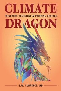 bokomslag Climate Dragon
