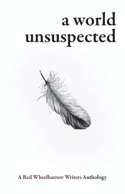 bokomslag World Unsuspected