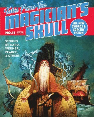 bokomslag Tales From the Magician's Skull #11