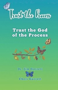 bokomslag Trust the Process: Trust the God of the Process