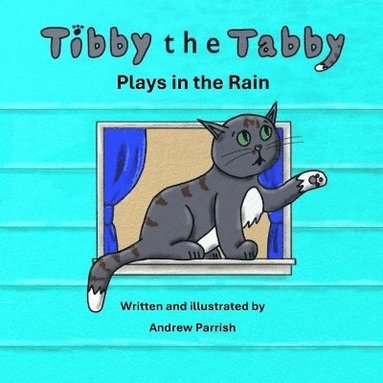 bokomslag Tibby the Tabby