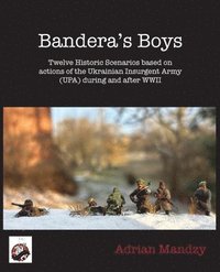 bokomslag Bandera's Boys