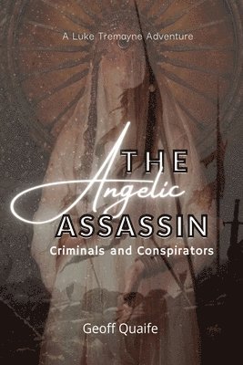 bokomslag Angelic Assassin