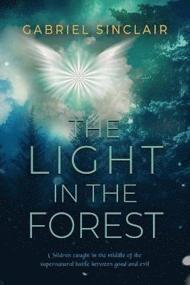 bokomslag Light in The Forest