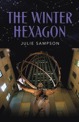 Julie Sampson - Winter Hexagon, Häftad