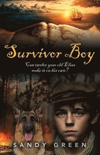 bokomslag Survivor Boy