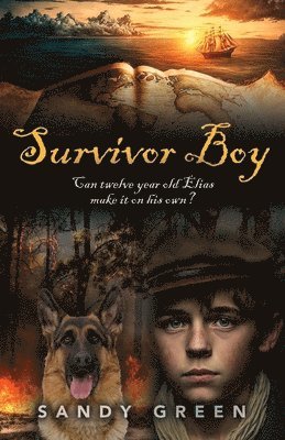 Survivor Boy 1