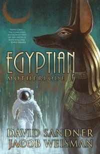 bokomslag Egyptian Motherlode