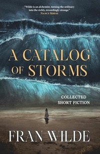 bokomslag Catalog of Storms