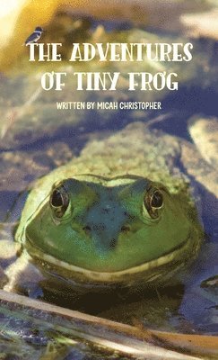 Adventures of Tiny Frog