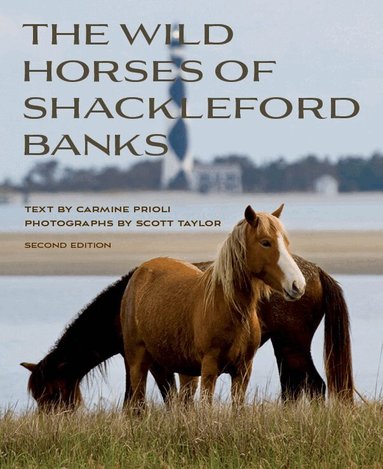 Carmine Prioli, Scott Taylor - Wild Horses of Shackleford Banks, Häftad