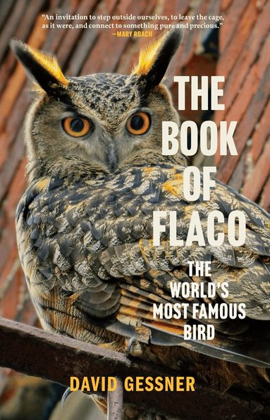 David Gessner - Book of Flaco, Inbunden