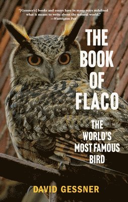 bokomslag The Book of Flaco