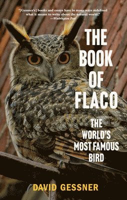 bokomslag The Book of Flaco: The World's Most Famous Bird